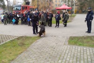 „Dzień Ratownictwa Medycznego” - pokaz działań policyjnego psa