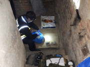Na zdjęciu widać policyjnego technika w pozycji klęczącej, który w pomieszczeniu piwnicznym wykonuje swoje czynności związane z zabezpieczeniem ujawnionych ludzkich kości.