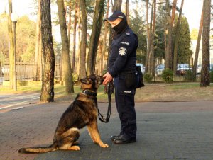 Na zdjęciu jest umundurowany policjant z psem patrolowo-tropiącym.