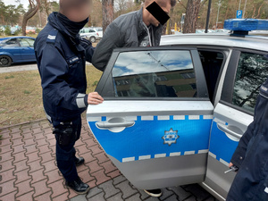 Na zdjęciu widać umundurowanego policjanta, który trzyma otwarte drzwi oznakowanego radiowozu. Przed nim mężczyzna siada na tylną kanapę pojazdu.