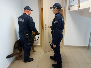 Umundurowany patrol policji z psem służbowym w trakcie ćwiczeń.