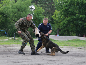 Policjant i żołnierz podczas pokazów tresury psów służbowych.