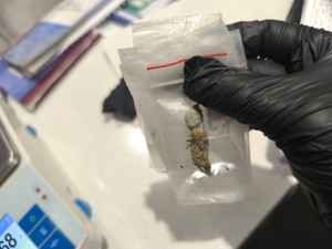 W organizmie THC, a w bagażniku marihuana