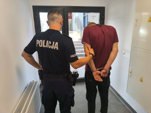Od rutynowej kontroli do znacznych ilości narkotyków
