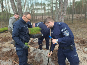 Otwoccy policjanci z zieloną misją – wiosenne sadzenie lasu z Nadleśnictwem Celestynów