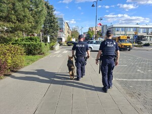 Wzmożone kontrole w rejonie skweru przy ul. Andriollego – apelujemy o przestrzeganie prawa