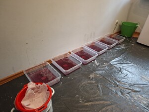 Cios w narkobiznes. Otwoccy kryminalni wspólnie z CBŚP zlikwidowali laboratorium mefedronu, zabezpieczyli 30 kg mefedronu i zatrzymali 25- latka poszukiwanego Czerwoną Notą Interpolu