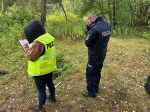 Otwoccy policjanci zabezpieczyli 35 świeżo ściętych krzaków konopi, które miały trafić do uczniów lokalnych szkół podstawowych