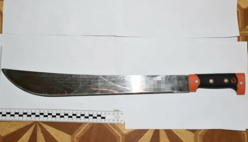 Podejrzany o usiłowania zabójstwa trafił na 3 miesiące do aresztu - zaatakował sąsiada maczetą